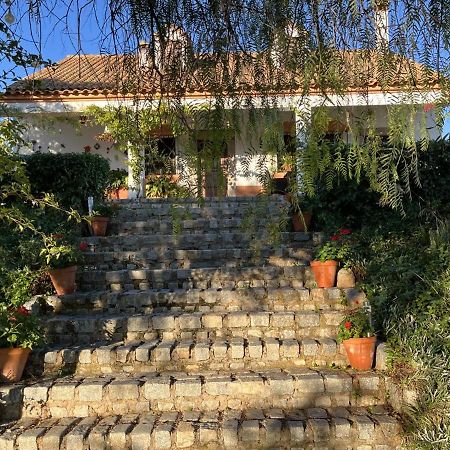 Casa Rural "El Carrasca" El Carrascalejo Exteriér fotografie