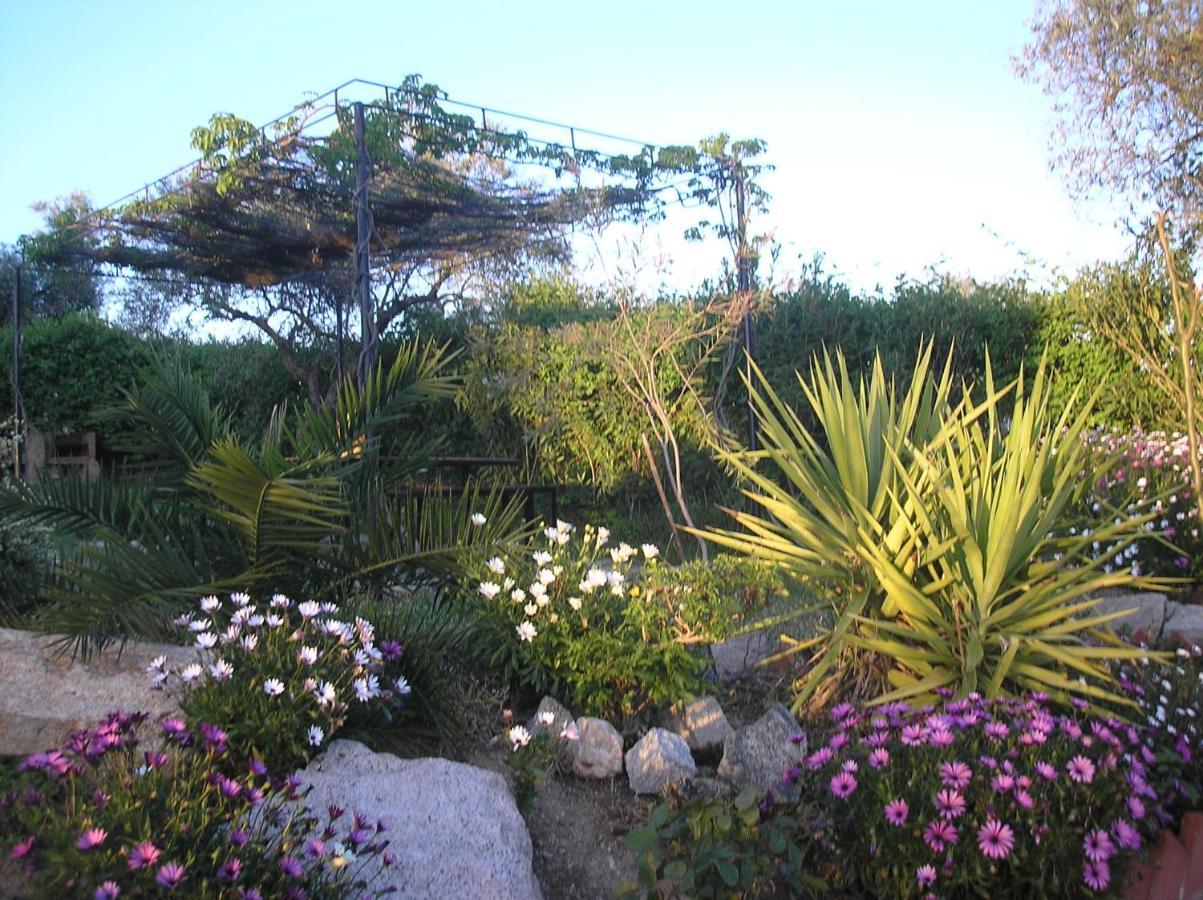 Casa Rural "El Carrasca" El Carrascalejo Exteriér fotografie