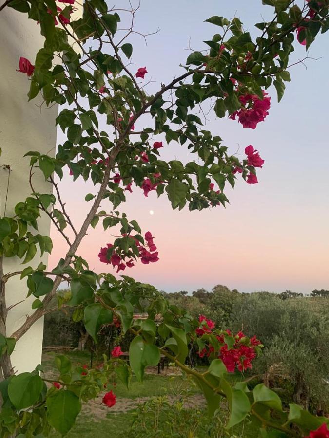 Casa Rural "El Carrasca" El Carrascalejo Exteriér fotografie